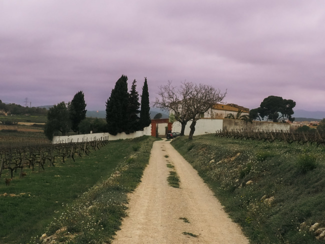 Entrada del migdia