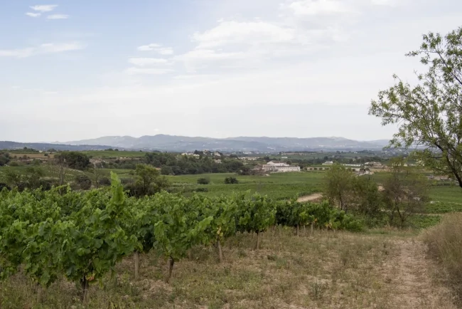 Panoràmica des del cim d’Espenyalluchs