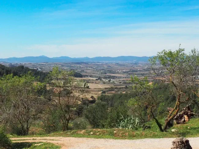 La plana del Penedès des de Cal Gori