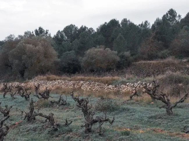 En Pepitu davant de les roques calcàries