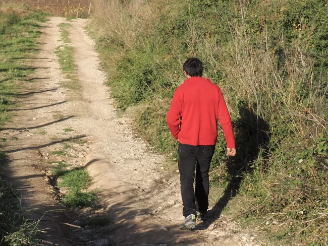 La revolució arriba caminant