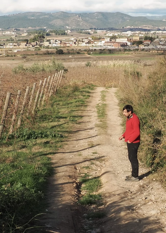 La plana del Penedès