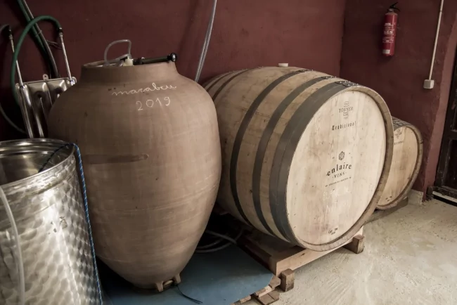 Els tancs d’acer inoxidable, l’àmfora del Joan Carles Llarch i les botes de castanyer