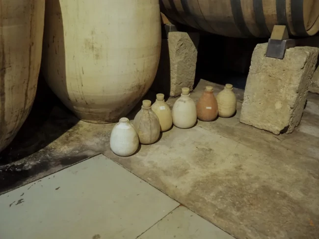 Diferents àmfores de ceràmica