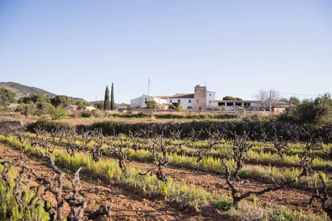 La masia La Serra, un edifici civil del segle XII