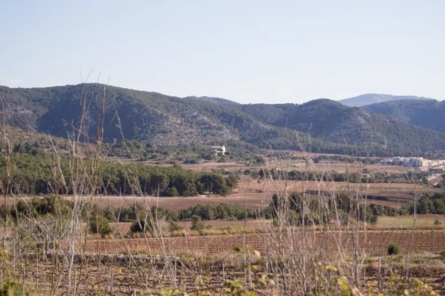 L’ermita de Sant Pau, situada mig quilòmetre al nord del poble de Ribes